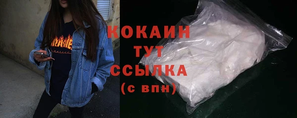 спиды Бородино