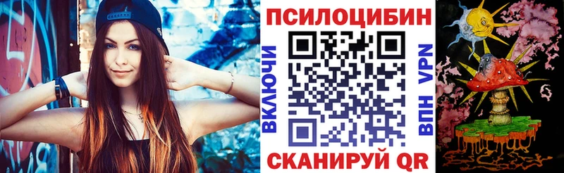 дарнет шоп  Высоковск  Псилоцибиновые грибы MAGIC MUSHROOMS 